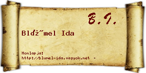Blümel Ida névjegykártya